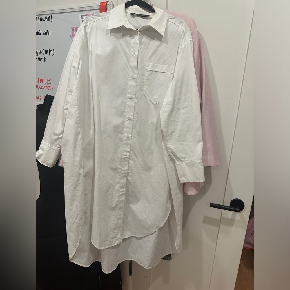 Zara button down dress